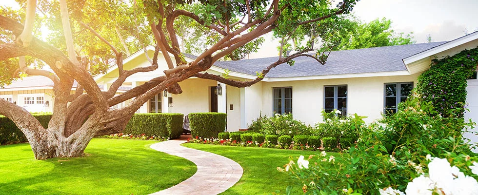 The Final Touch: Landscaping