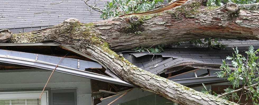April Showers Bring May Flowers…and Storm Damage