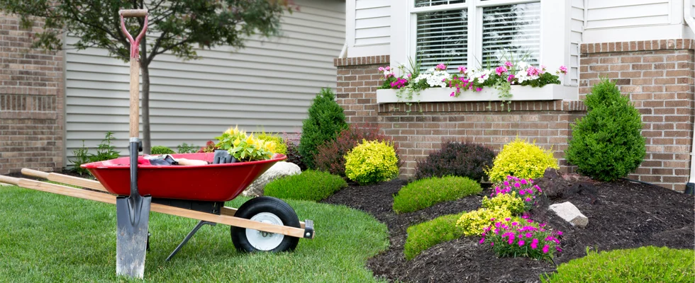 FAQ: Landscaping