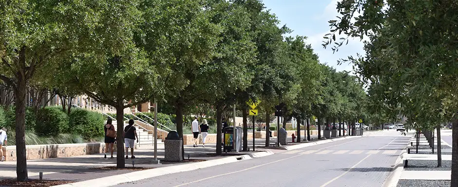 3 Reasons Why College Station is the Perfect Place to Build Your Custom Home