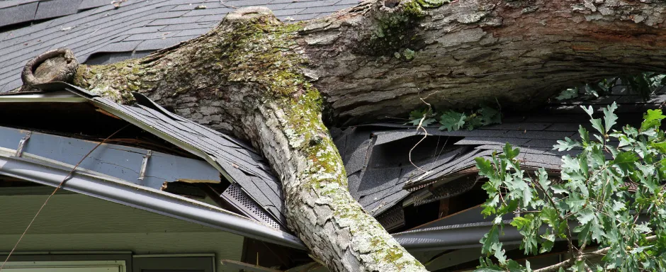 How to Prep Your Home for Spring Storms