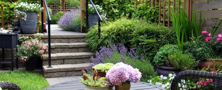 Get Your Yard Ready for Summer